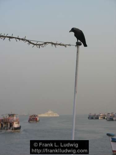 Bombay Harbour, Bombay, Mumbai, India